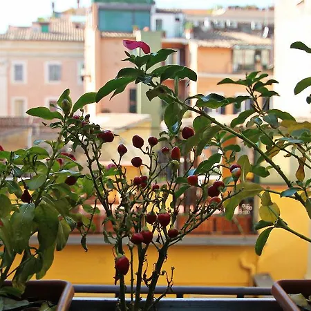 Affittacamere Irooms Campo Dei Fiori Roma